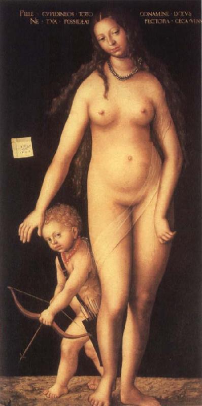 Lucas Cranach the Elder Venus and Cupid oil painting picture